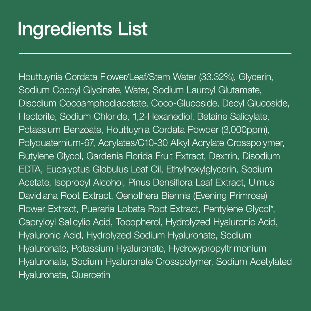 ANUA Heartleaf Quercetinol Pore Deep Cleansing Foam,