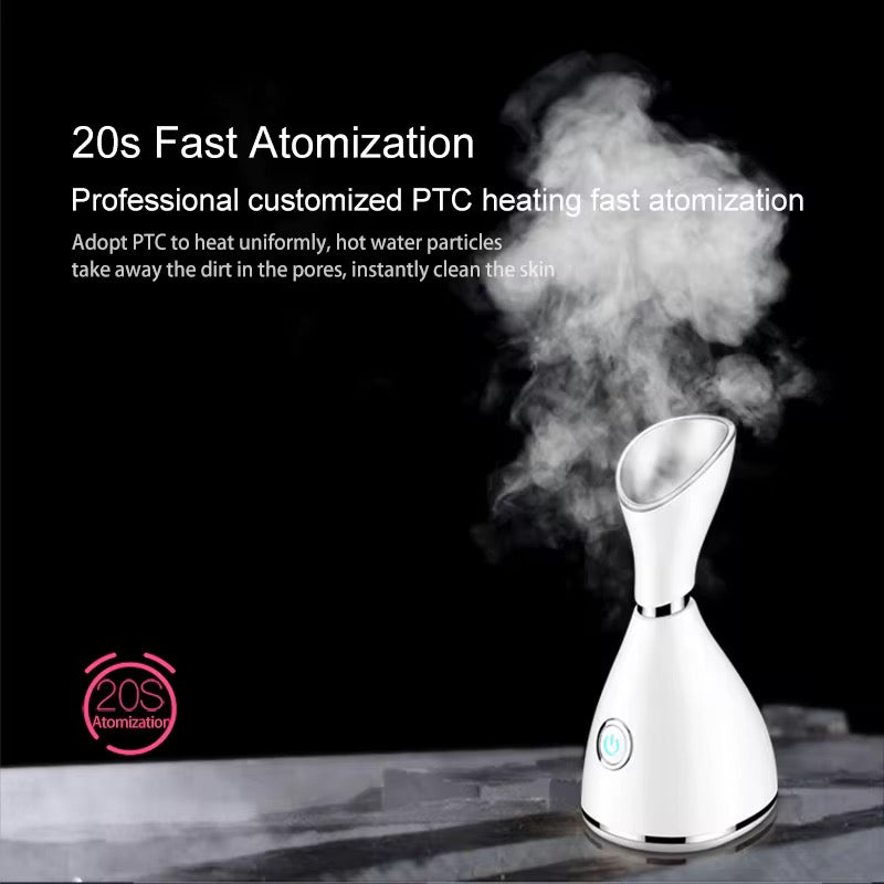 Face steamer