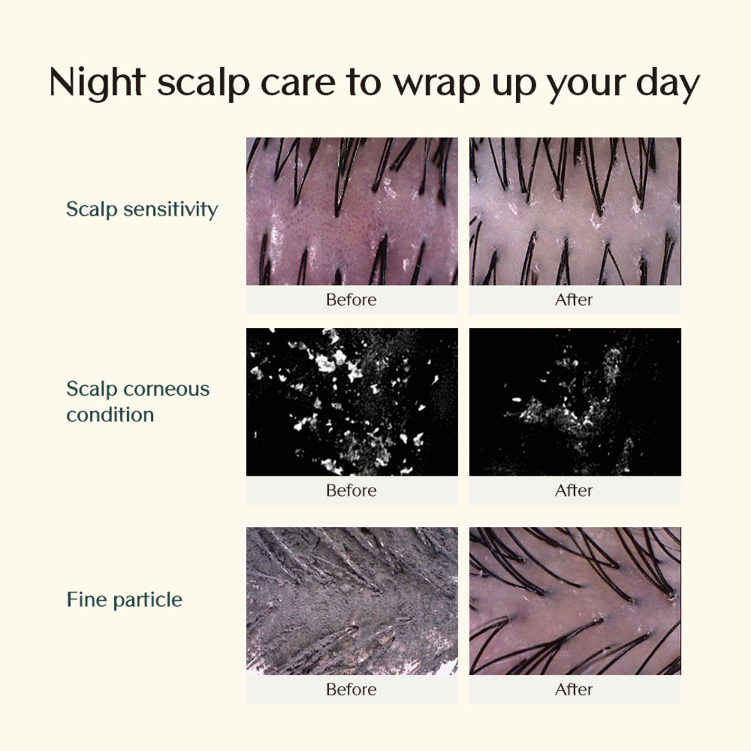 Treecell Night Collagen Shampoo – Midnight Forest