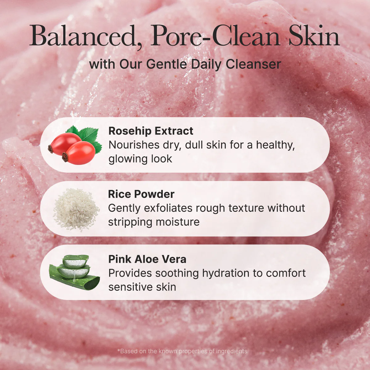 Arencia Fresh Rosehip Mochi Cleanser