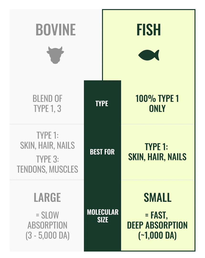 BB LAB LOW-MOLECULAR COLLAGEN BIOTIN PLUS, 2G X 30 STICKS