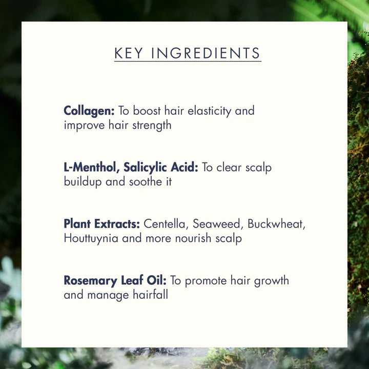 Treecell Night Collagen Shampoo – Midnight Forest