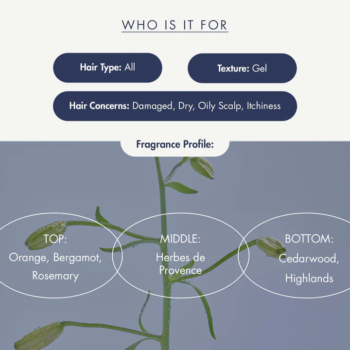 Treecell Night Collagen Shampoo – Midnight Forest