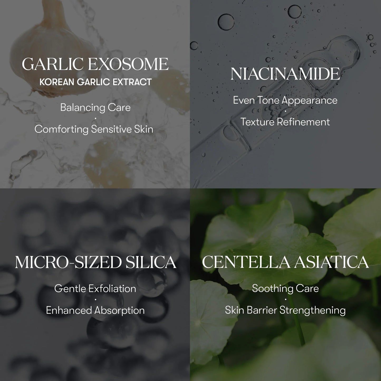 VT Cosmetics Garlic AC Reedle Shot Gel Cream
50ml