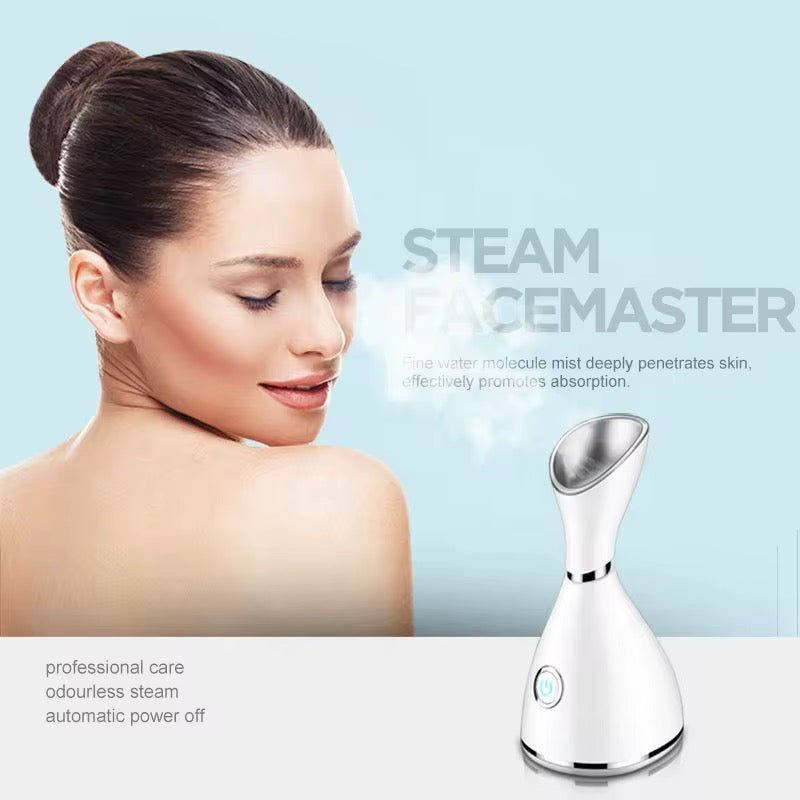 Face steamer
